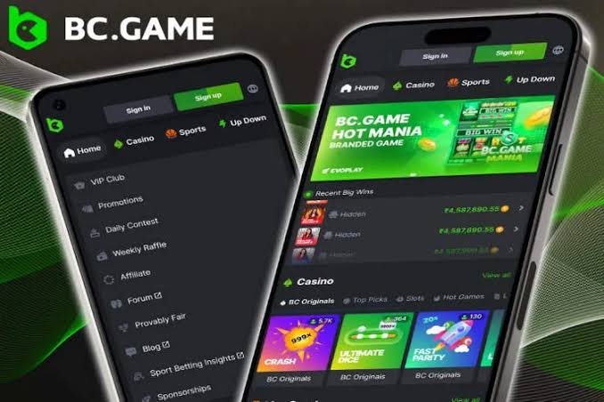 Exploring the Features of BC.Game App for Android