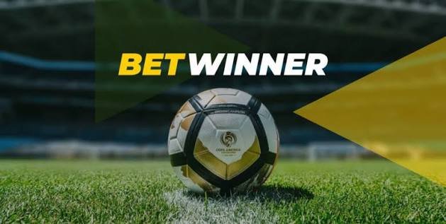 Understanding BetWinner Withdrawal Options A Comprehensive Guide Understanding BetWinner Withdrawal Options A Comprehensive Guide